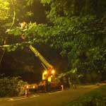 An image of a crain being used to remove a tree at night time, due to it being in an unsafe position.