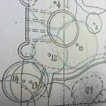 An image of tree maintenance drawings drafted up prior to tree surgery.