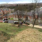 An image of several trees on a hill being maintained and cutback by arborists at Treesaw.