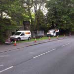 image of cars behind traffic cones near trees.