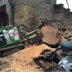 Tree removal in Bradford