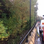 An image of trees at Lawnswood School in Leeds, being maintained by tree surgeons at Treesaw.