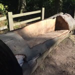 An image of a carved bench, made from a tree trunk, maintained by tree surgeons at Treesaw.