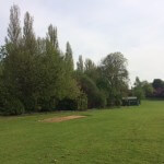 An image of the field in the grounds of The Mount School in Leeds, with trees being treated by tree surgeons at Treesaw.