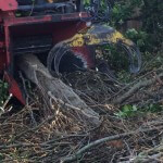 An image of tree wood being chopped up by a large wood chopper from Tree surgery specialists, Treesaw.