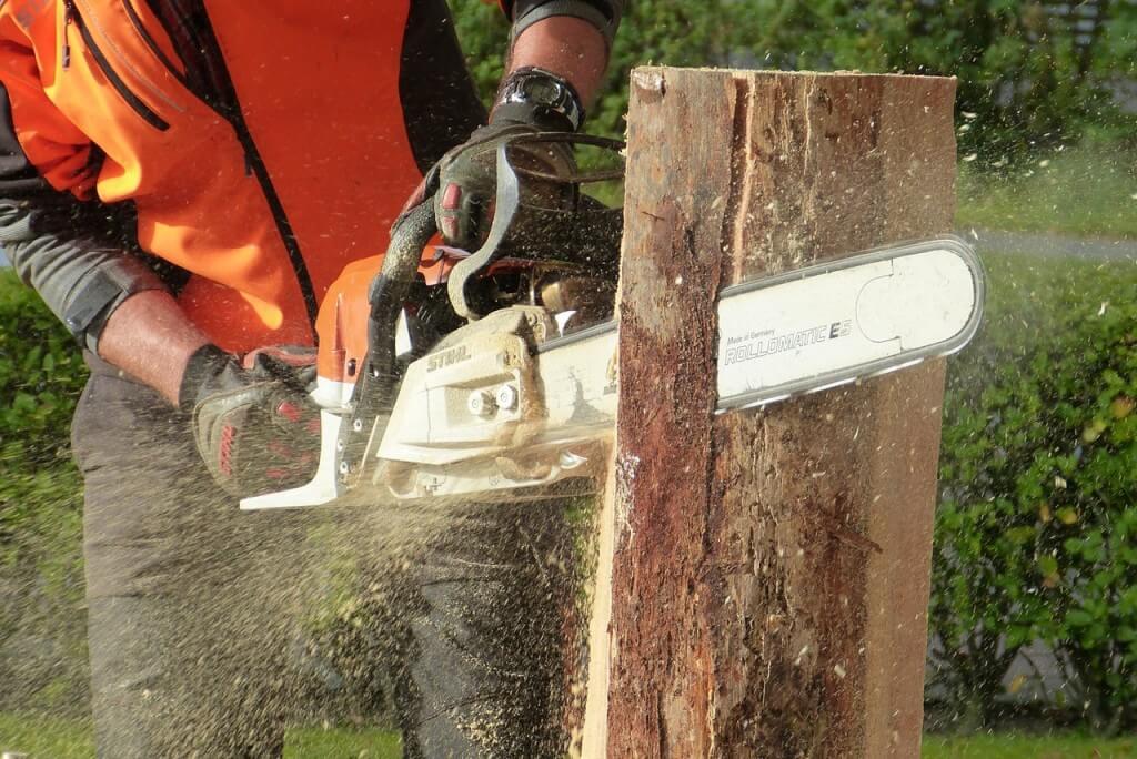 A picture of a tree surgeon using a chainsaw to cut through a stump